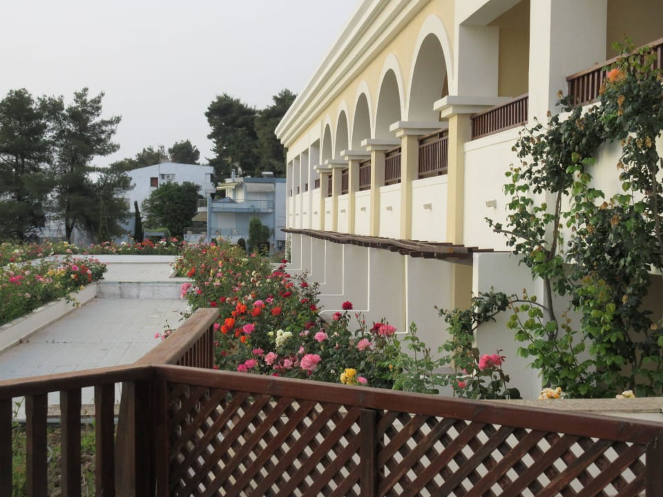 Blumen Aegean Melathron Thalasso Spa Hotel