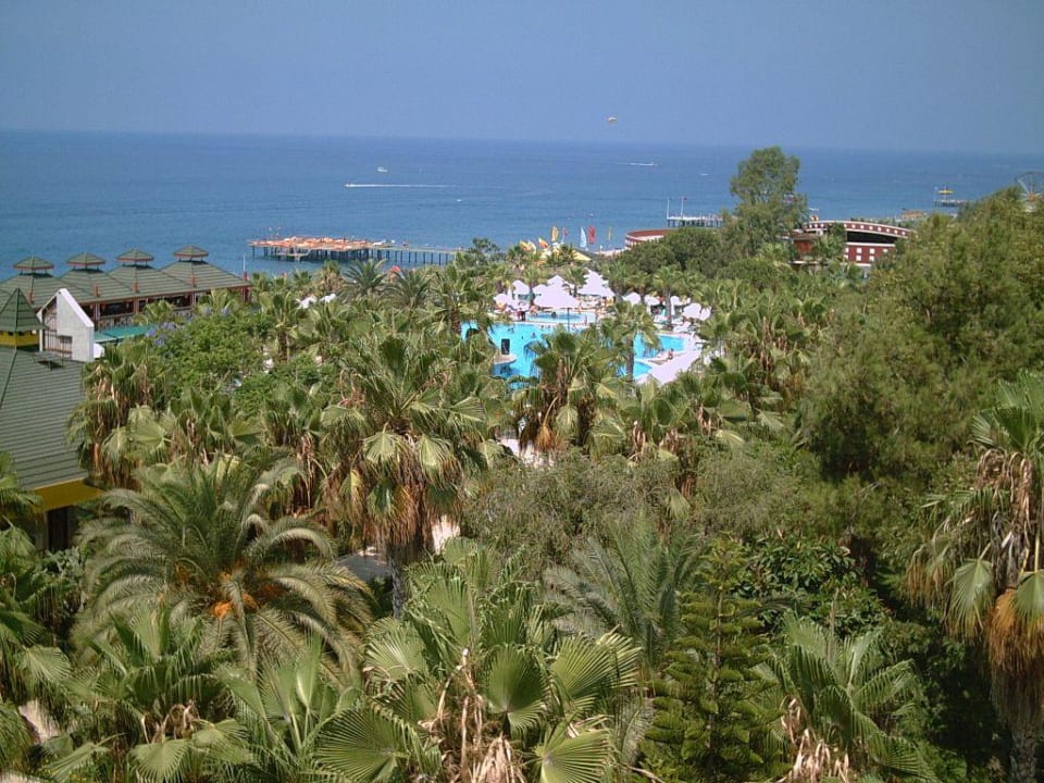 Überblick vom Dach auf Animationspool Botanik Hotel & Resort