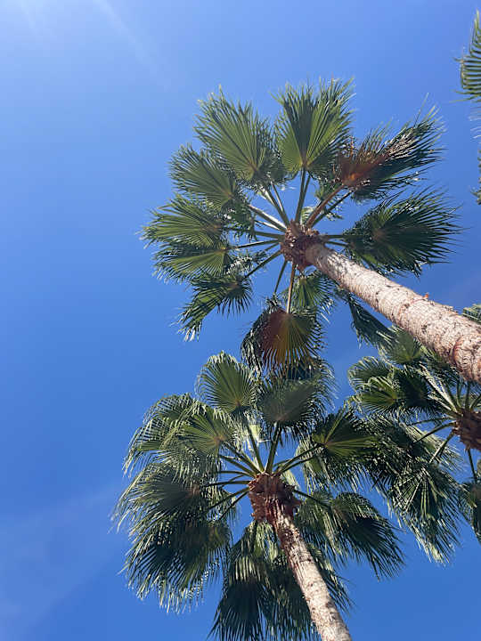 Gartenanlage My Home Resort