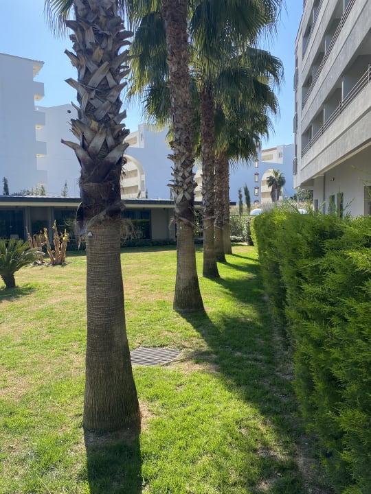 Gartenanlage Hotel Miramare Beach