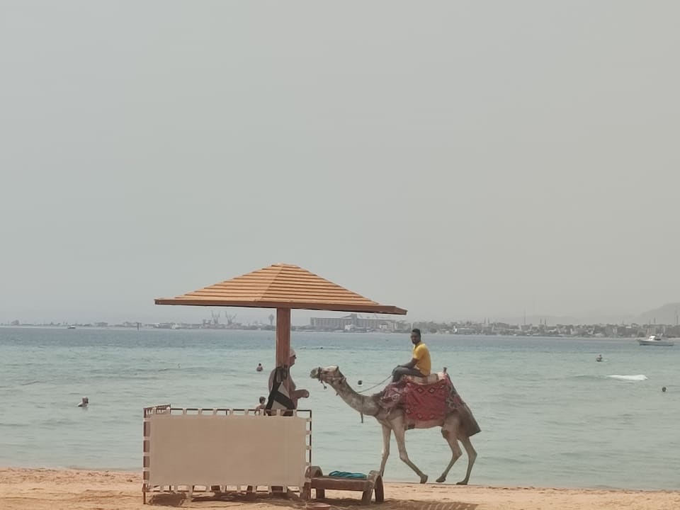 Strand Shams Prestige Abu Soma-Adults Only