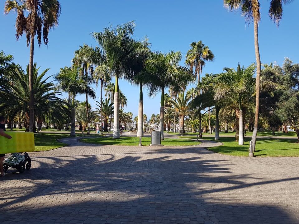 Gartenanlage Hotel Riu Gran Canaria