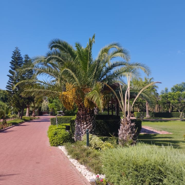 Gartenanlage Sunis Elita Beach Resort & Spa