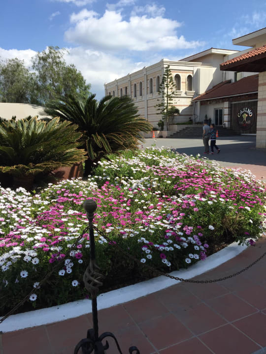 Auffahrt zum Hotel Salamis Bay Conti Resort Hotel & Casino