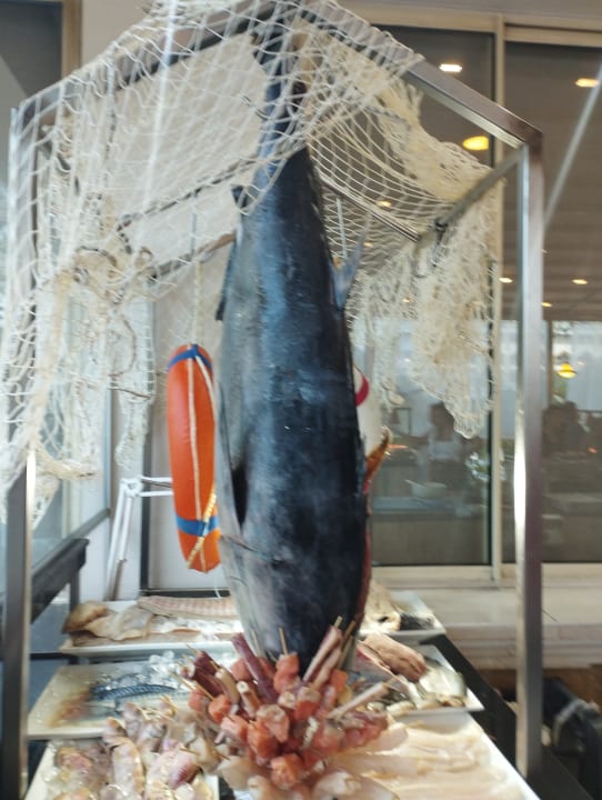 Gastro Hotel Delphin Diva