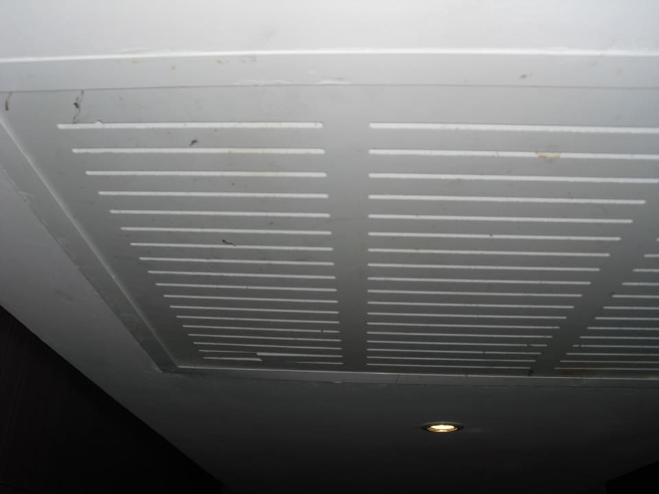 Dreck dreck dreck Hotel Rosa Beach