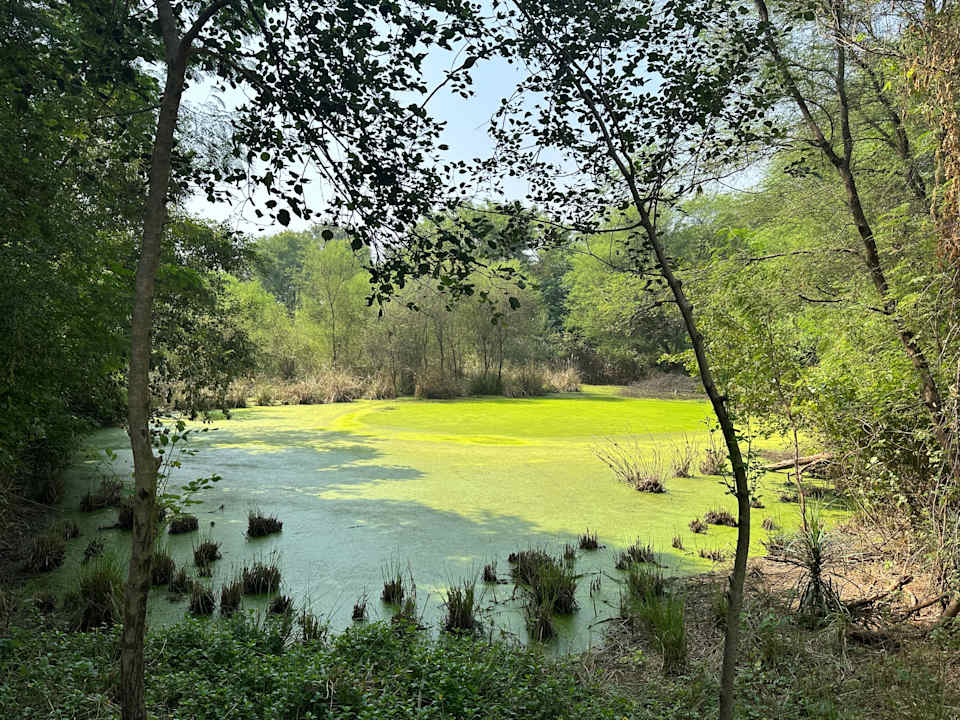 Gartenanlage Hotel Aman-I-Khás