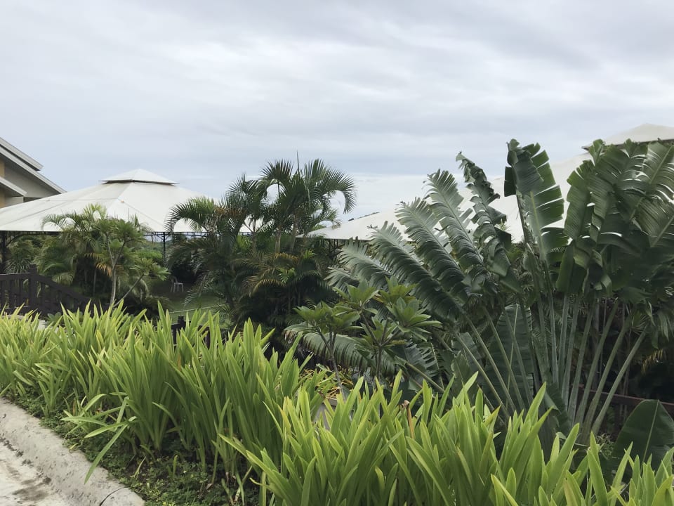 Gartenanlage Hotel Alta Vista De Boracay