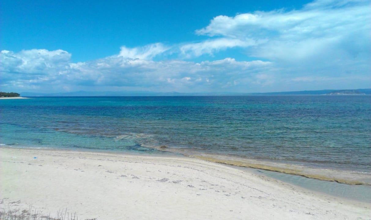 Paliouri beach. Kripis Studio Paliouri