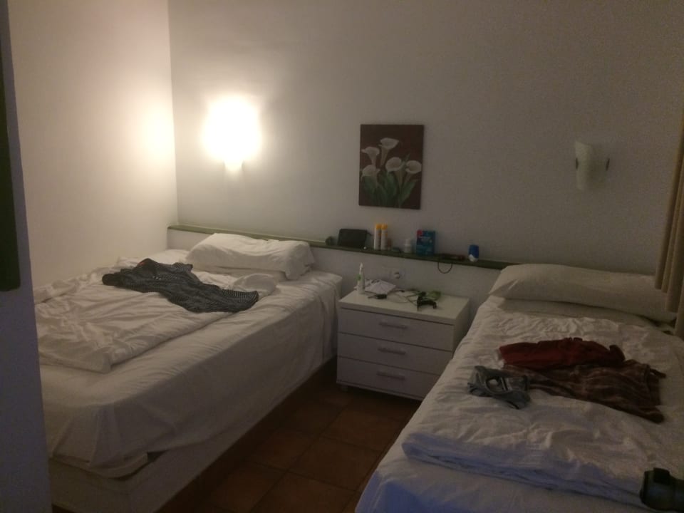 Zimmer Canary Garden Club