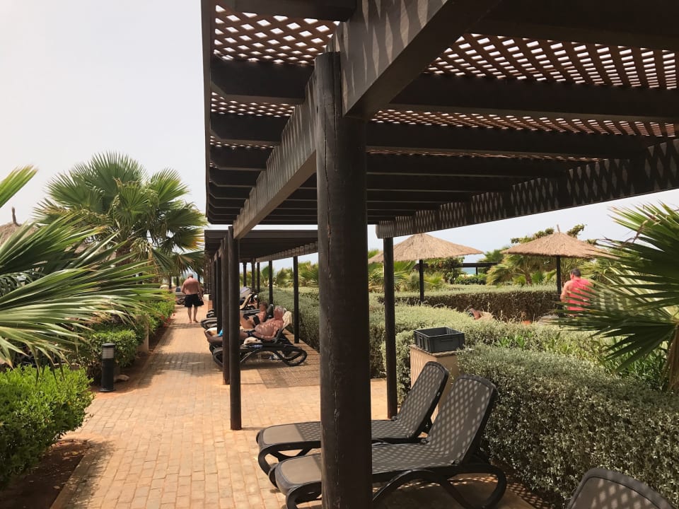 Pool Hotel Riu Touareg