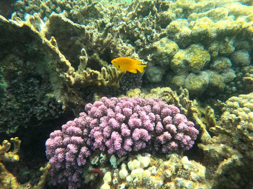 Sonstiges Utopia Beach Club