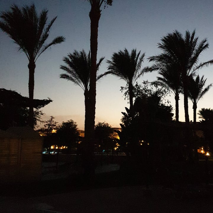 Außenansicht JAZ Mirabel Beach