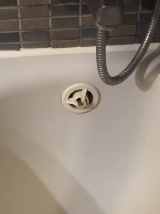 Zimmer Hotel Pine Bay Holiday Resort