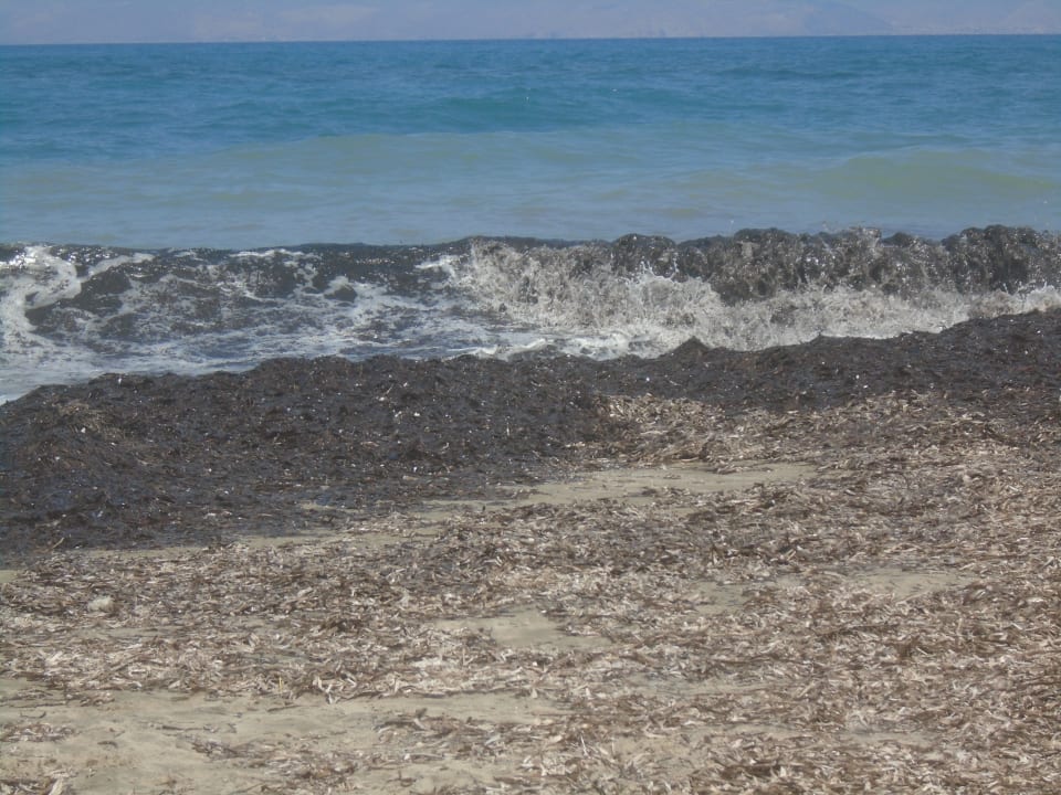 Strand Hotel Kouros Palace