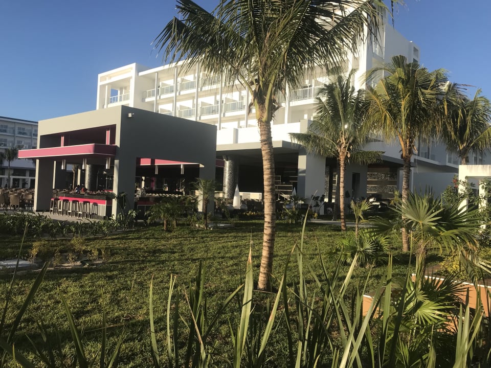 Gartenanlage Hotel Riu Dunamar