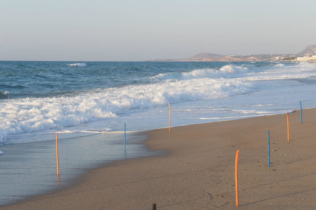 Znów fale Golden Beach Rethymnon