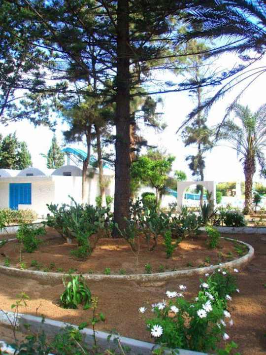 Ogród The Club Hammamet