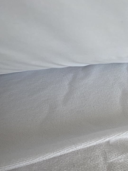 Zimmer Smy Kos Beach & Splash