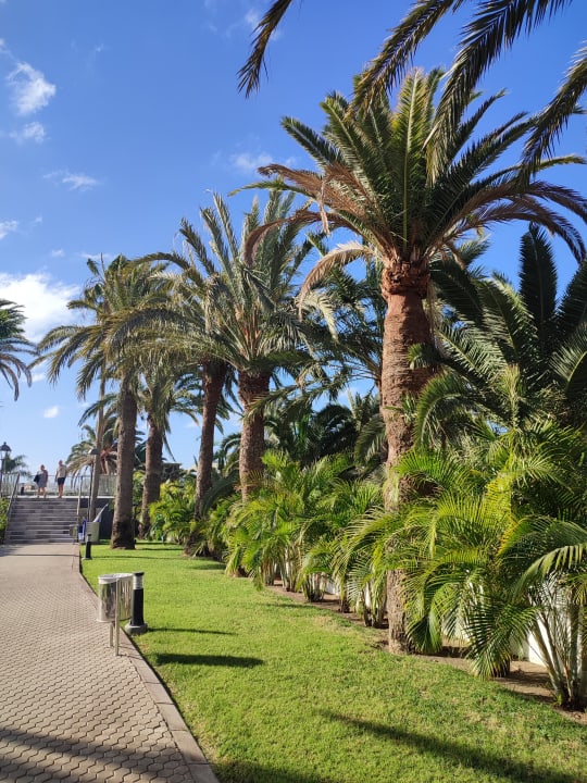 Gartenanlage Hotel Riu Palace Maspalomas Adults Only