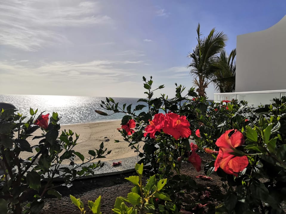 Ausblick Hotel Riu Palace Jandia