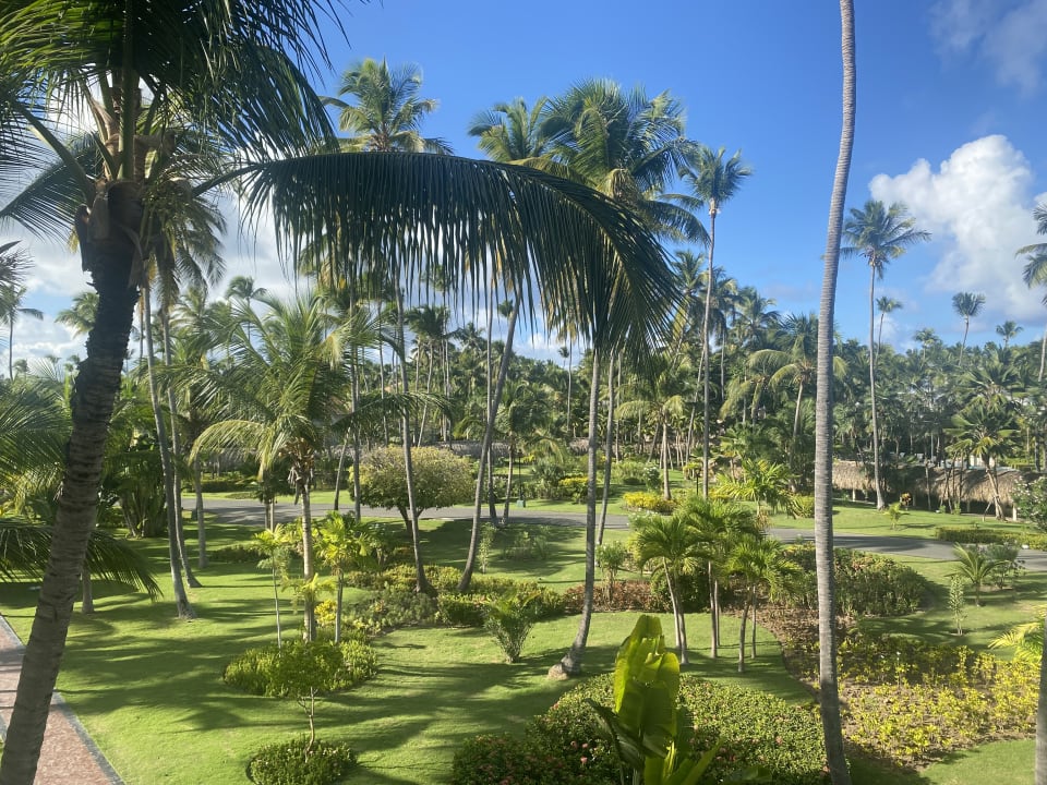 Gartenanlage TRS Turquesa Hotel - Adults only