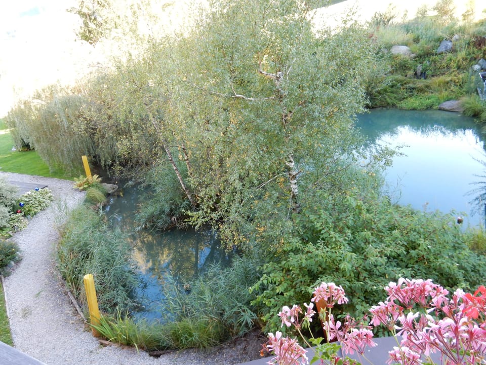 Vom Zimmer auf den Teich, sehr schön. Hotel Krallerhof