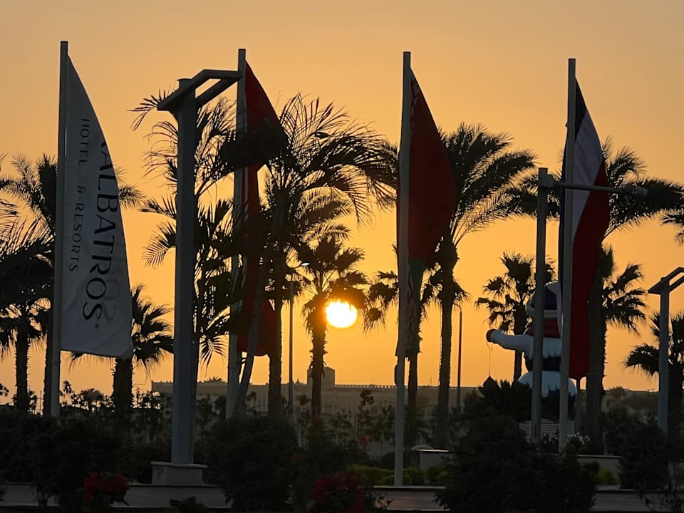 Sonstiges Pickalbatros Aqua Vista Resort - Hurghada