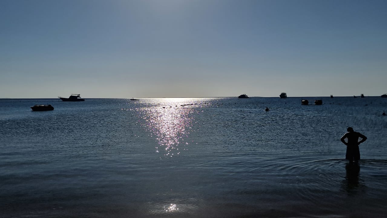 Ausblick Pickalbatros White Beach Resort - Hurghada