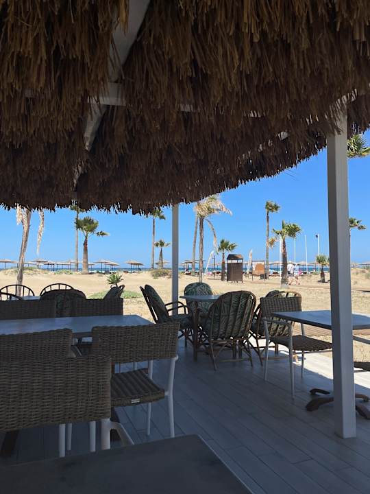 Strand Delfina Tropic Beach