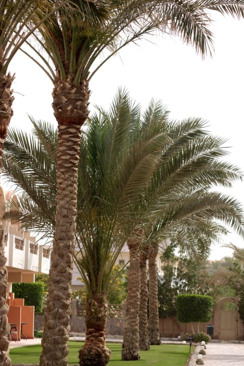 Hof Three Corners Sea Beach Resort