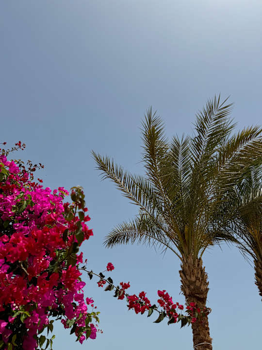 Zimmer El Karma Aqua Beach Resort