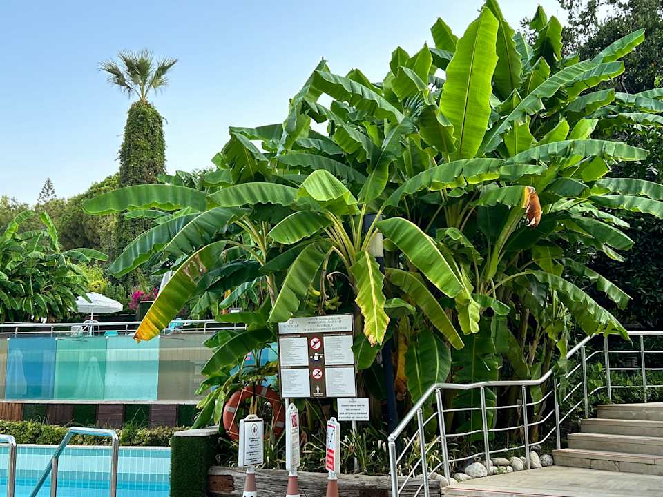 Gartenanlage Side Star Elegance