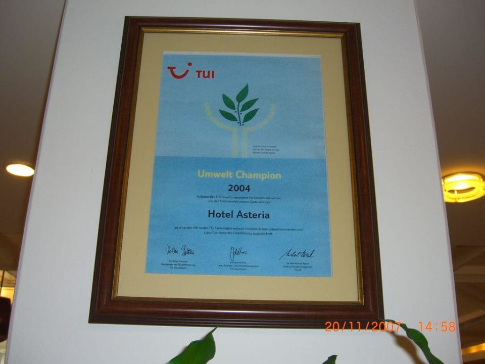 Gütesiegel Side Star Elegance