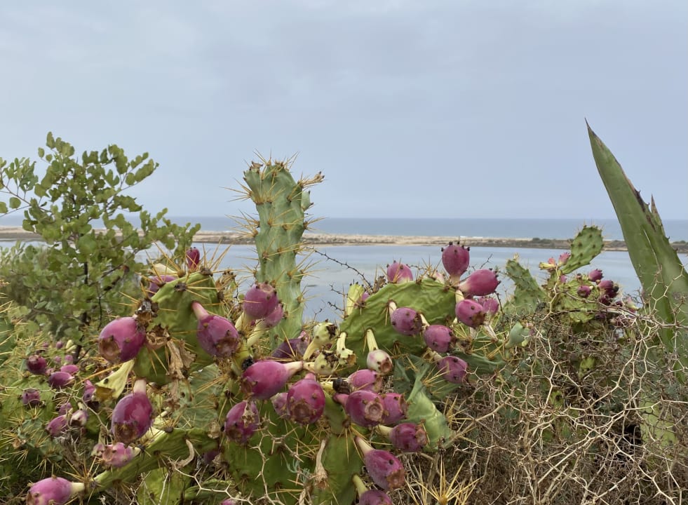 Strand ROBINSON QUINTA DA RIA