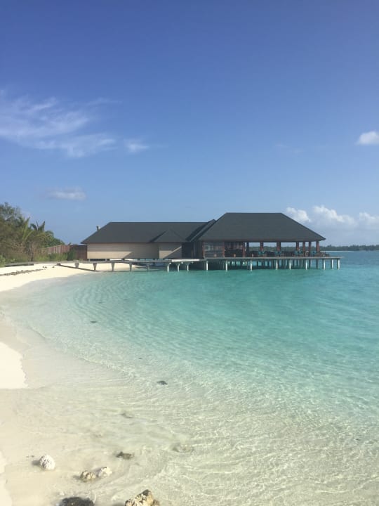 Strand Summer Island Maldives