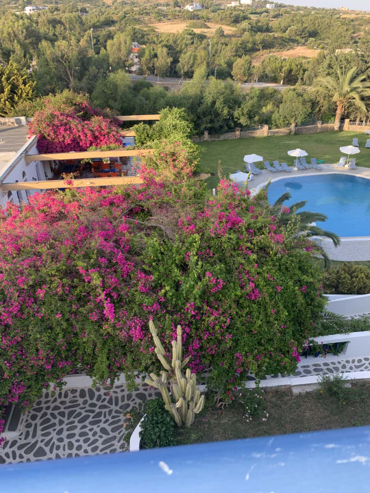 Ausblick Ekaterini Hotel