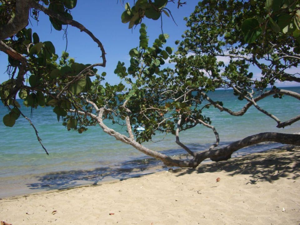 Aussicht Strand Playabachata Hotel