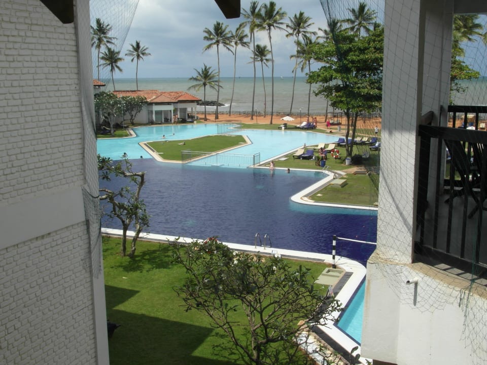 Ausblick... Club Hotel Dolphin
