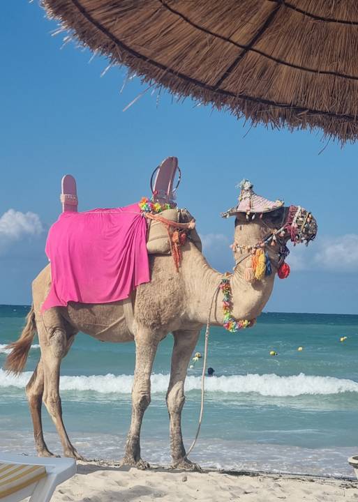 Strand Hotel Seabel Rym Beach Djerba