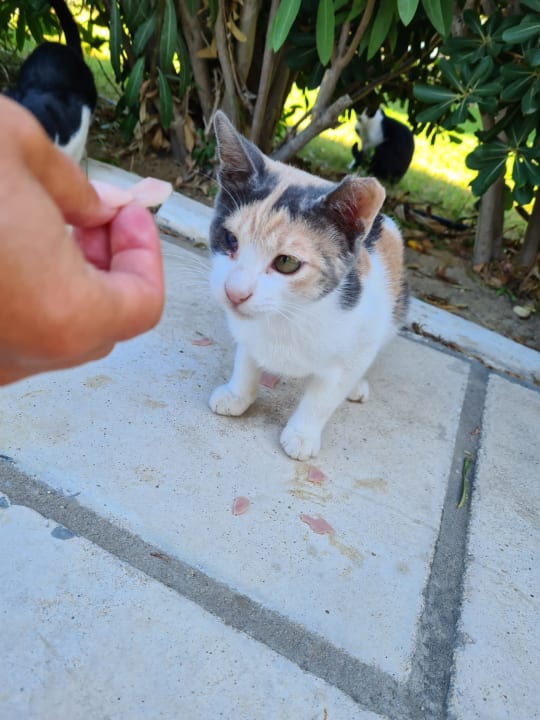 Sonstiges Smy Kos Beach & Splash