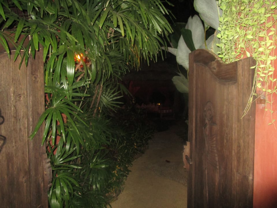 Gartenanlage Zazen Boutique Resort & Spa