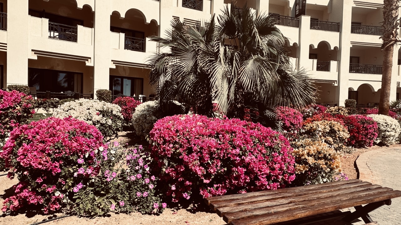 Gartenanlage Steigenberger ALDAU Beach Hotel