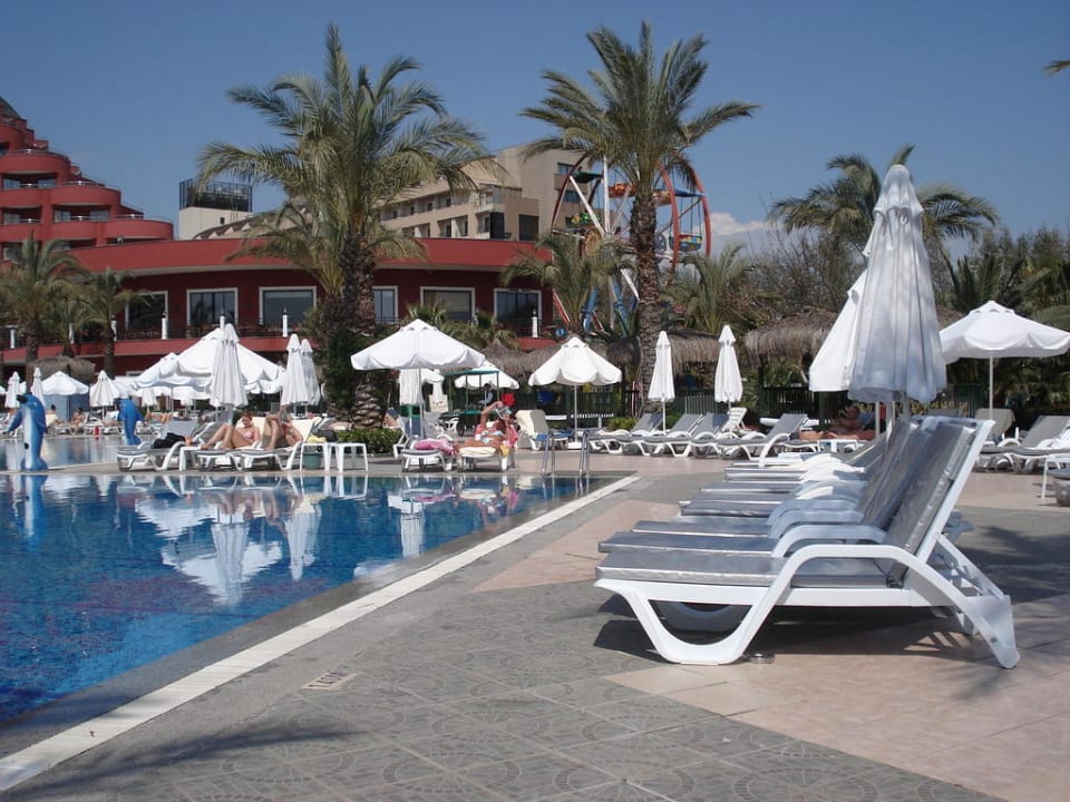 Pool Hotel Delphin Palace