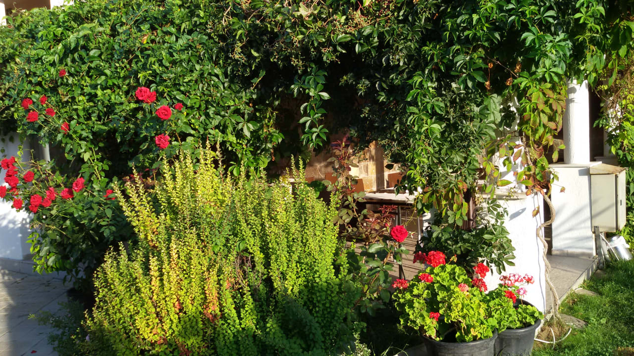 Restaurant Hotel Cazablanka / Casablanca