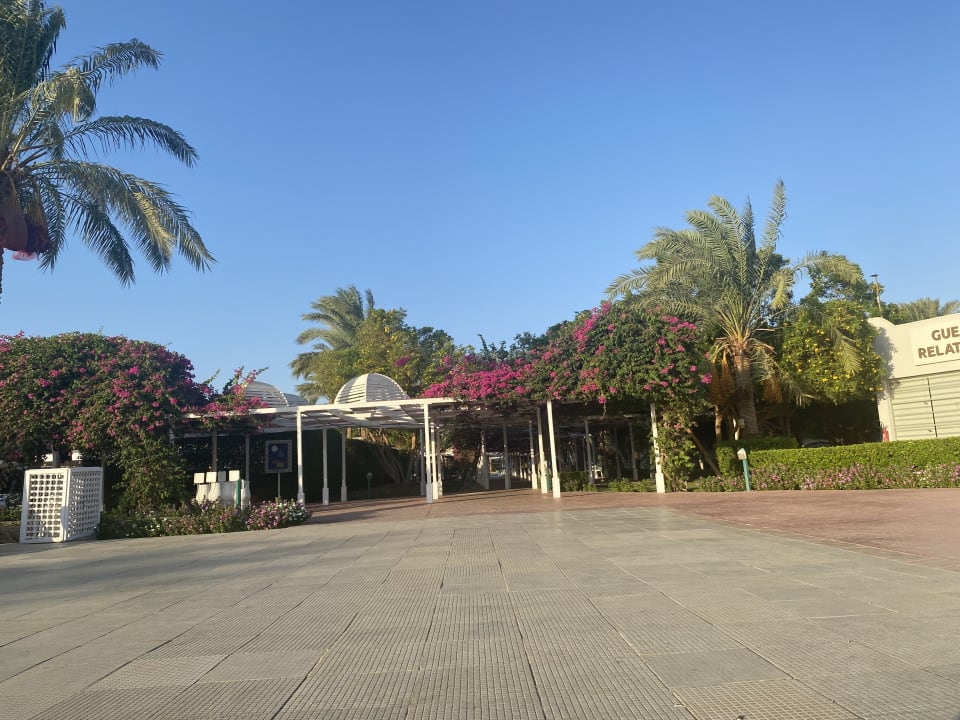 Gartenanlage Desert Rose