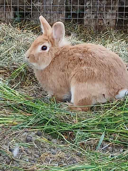 Sonstiges Ferienhof Schöne Aussicht