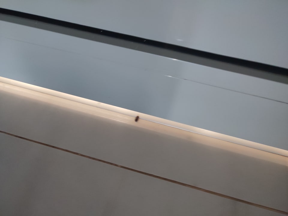 Zimmer Laguna Holiday Resort