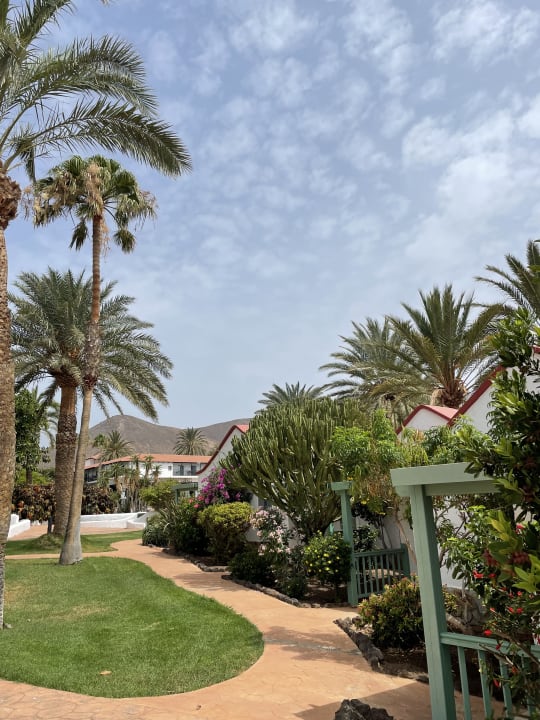 Gartenanlage Aldiana Club Fuerteventura