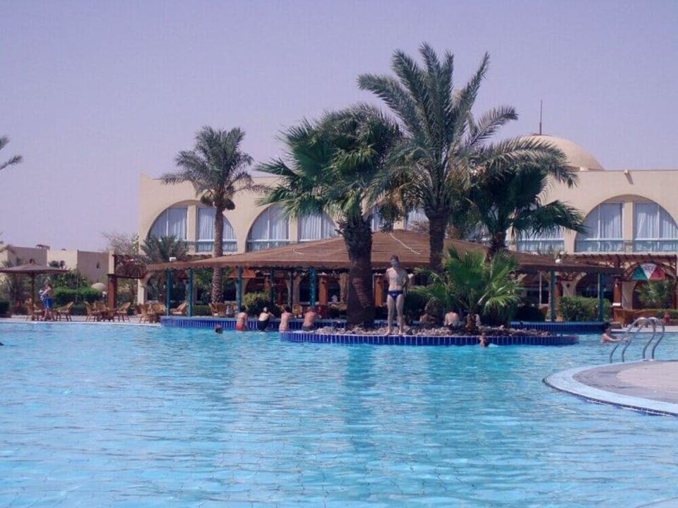 Widok ogólny Desert Rose